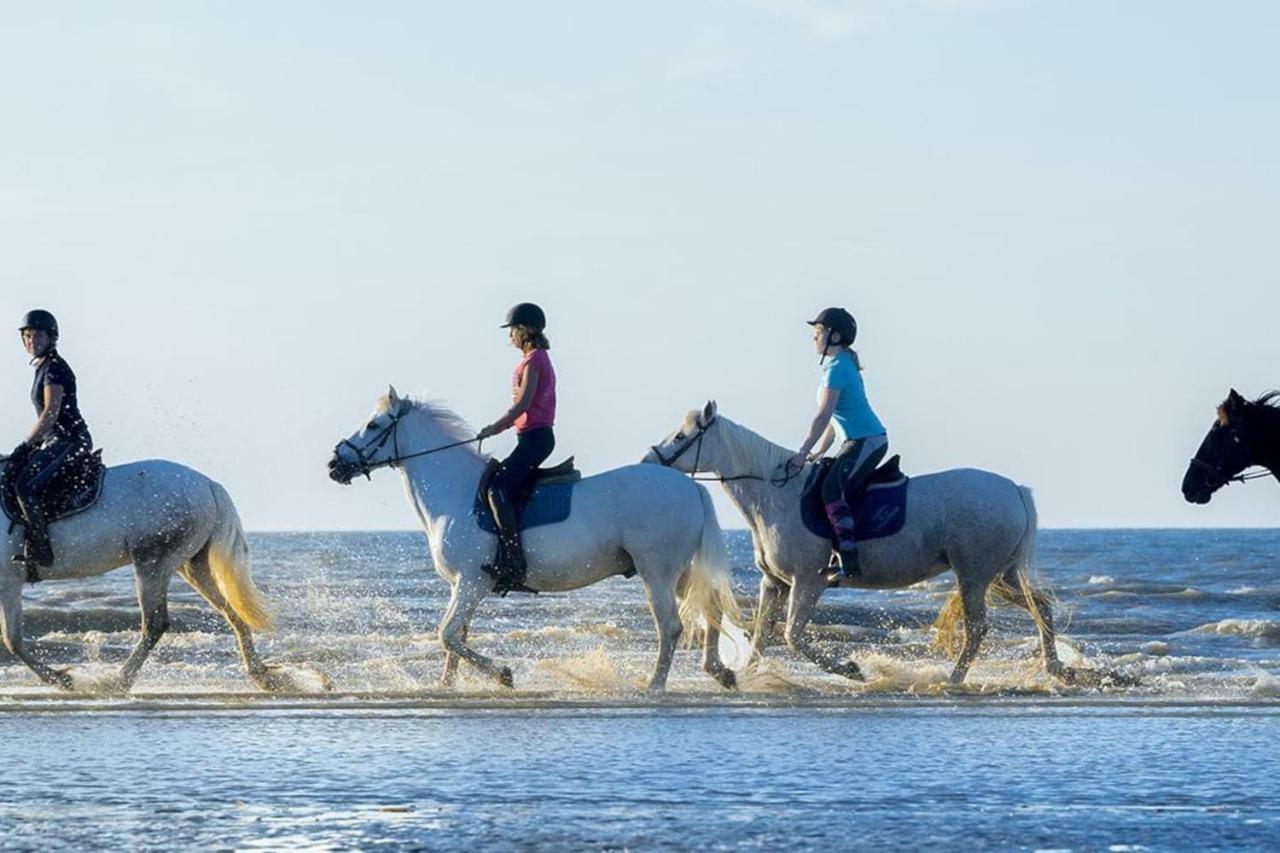 Charmant 2 Pieces A 500 M Des Plages Et Du Centre Cabourg Bagian luar foto